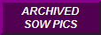 VIEW ALL OF OUR OLD SOW PHOTOS!